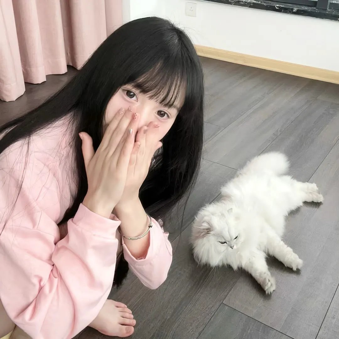 派特森与芬达猫4